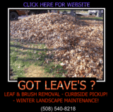 Cheap leaf raking service, Affordable leaf Cleanups
